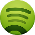 Spotify Play Store Icon